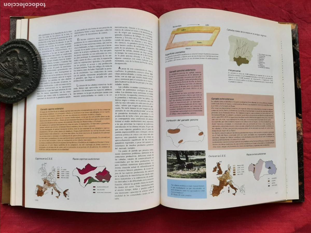 Libros de segunda mano: Recursos Naturales de Andaluc&iacute;a - Vv. Aa. - Foto 5
