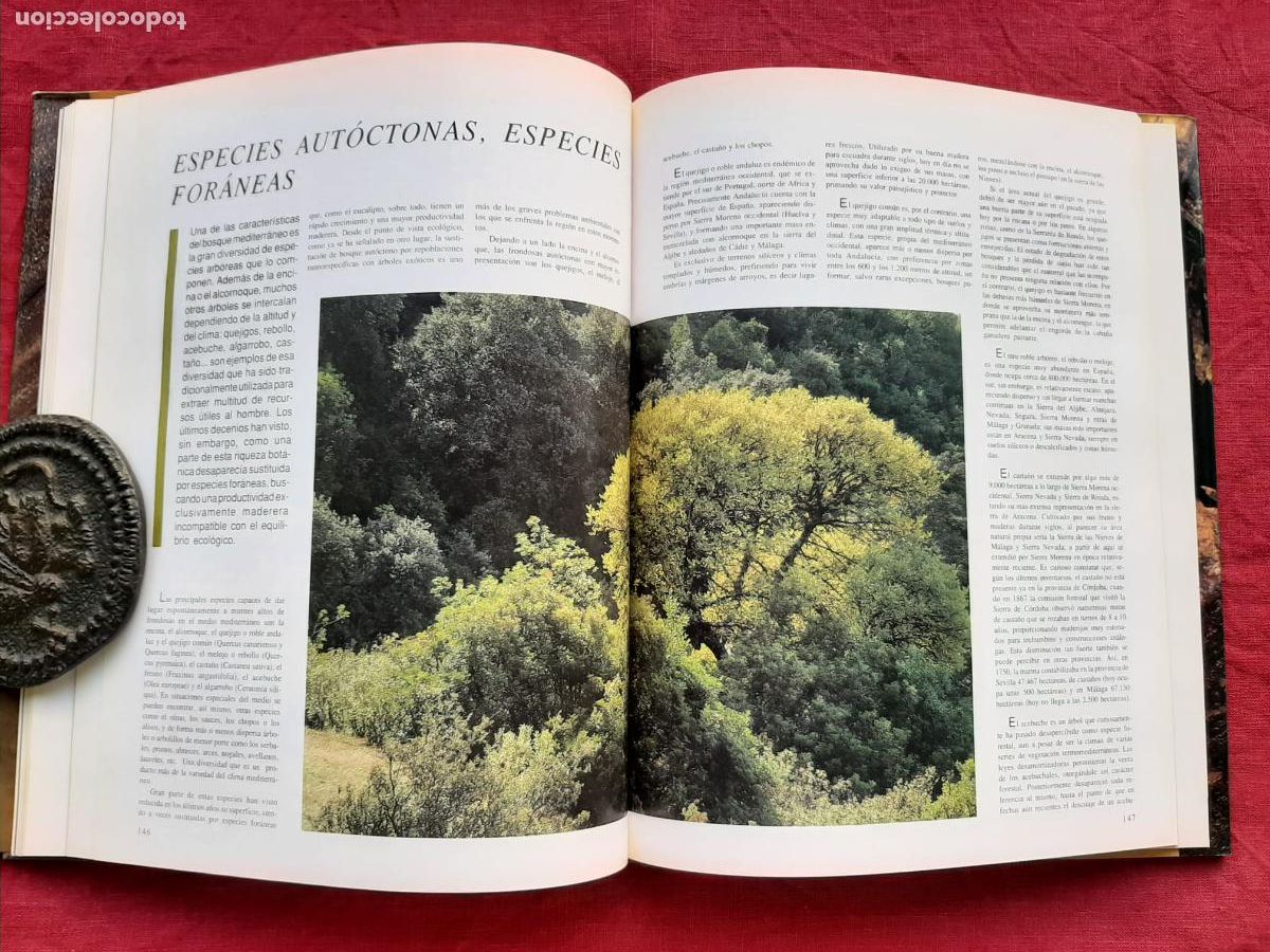 Libros de segunda mano: Recursos Naturales de Andaluc&iacute;a - Vv. Aa. - Foto 6