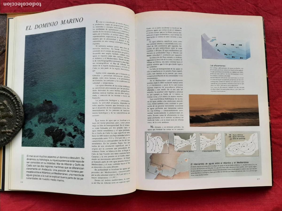Libros de segunda mano: Recursos Naturales de Andaluc&iacute;a - Vv. Aa. - Foto 8