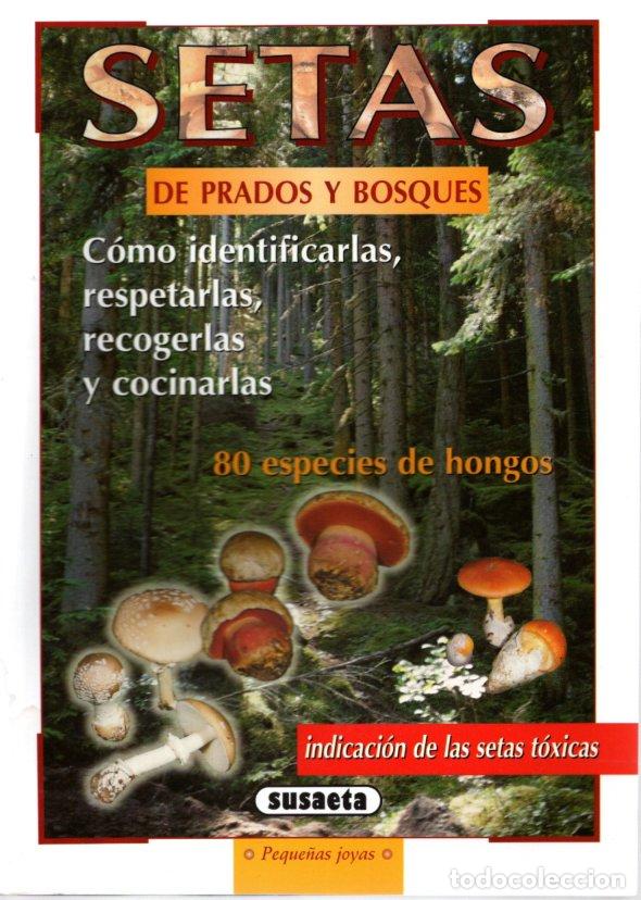 Libros de segunda mano: SETAS DE PRADOS Y BOSQUES - MARK KOBOLD - Foto 1