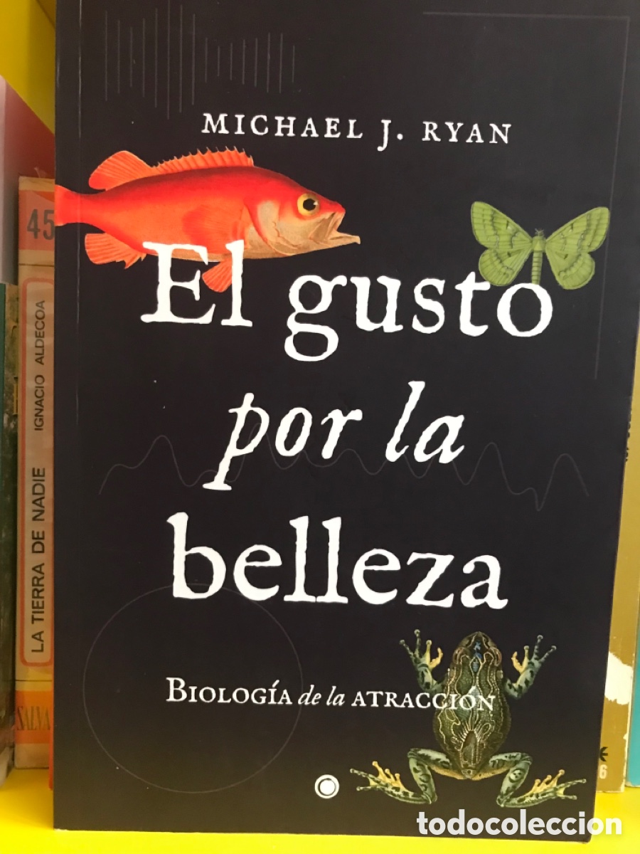 Gebrauchte B&uuml;cher: El gusto por la belleza. Biolog&iacute;a de la atracci&oacute;n. MJ Ryan