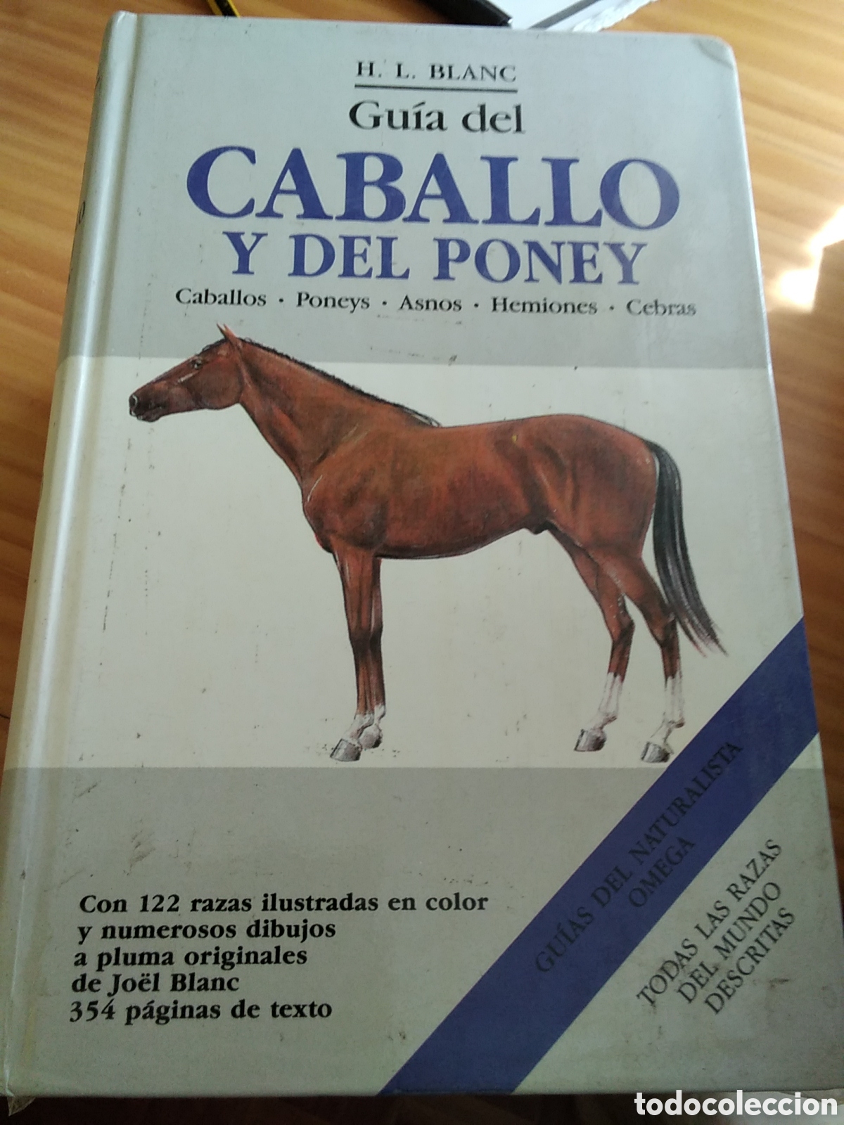Libros de segunda mano: Guia libro del caballo y del poney de Blanco edita Omega - Foto 1