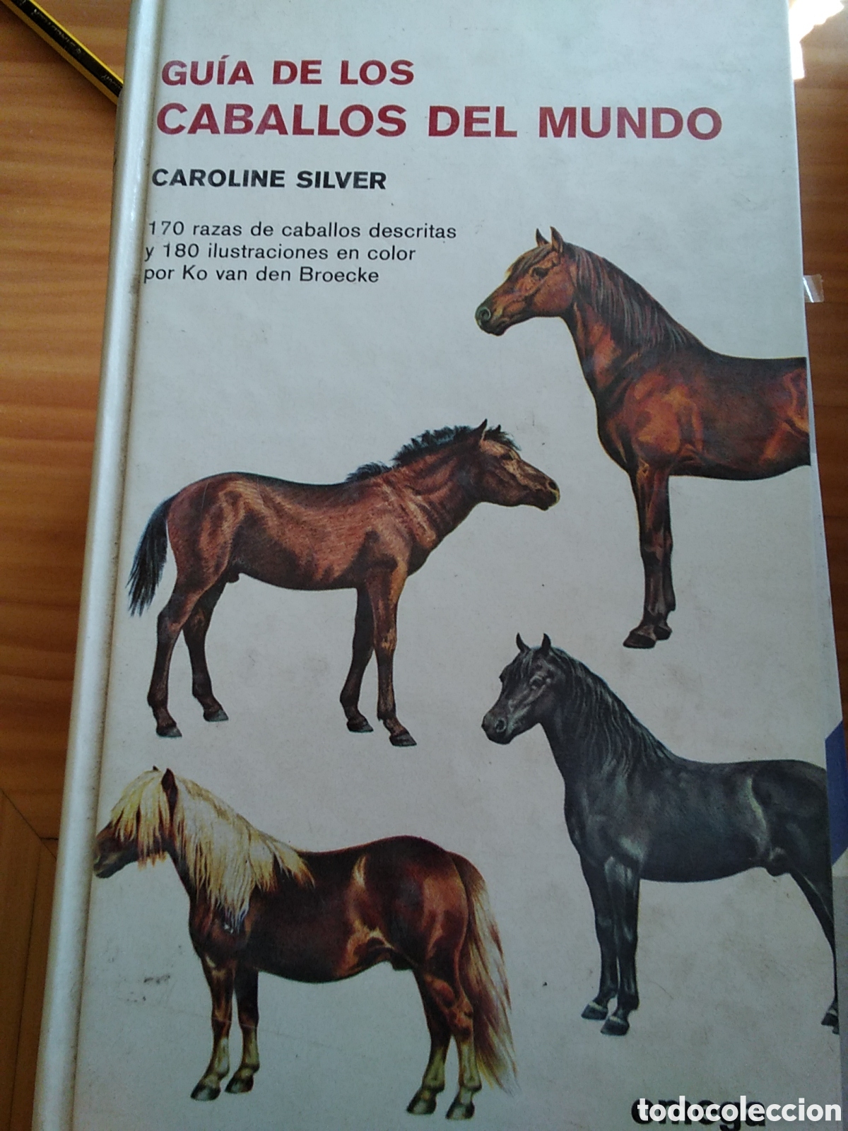 Libros de segunda mano: Guia libro de los caballos del mundo de Silver edita Omega - Foto 1