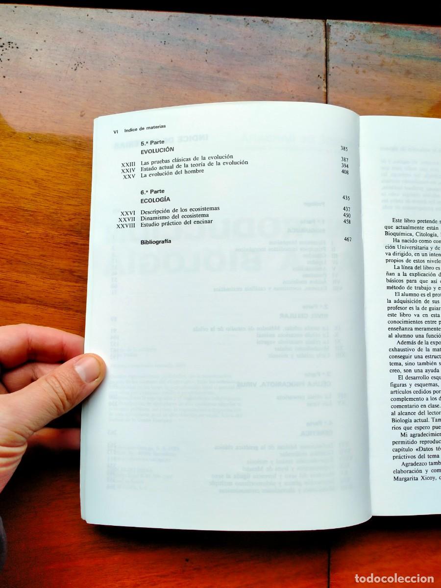 Libros de segunda mano: Introducci&oacute;n a la biolog&iacute;a. Merce de B&aacute;rbara. Omega - Foto 4