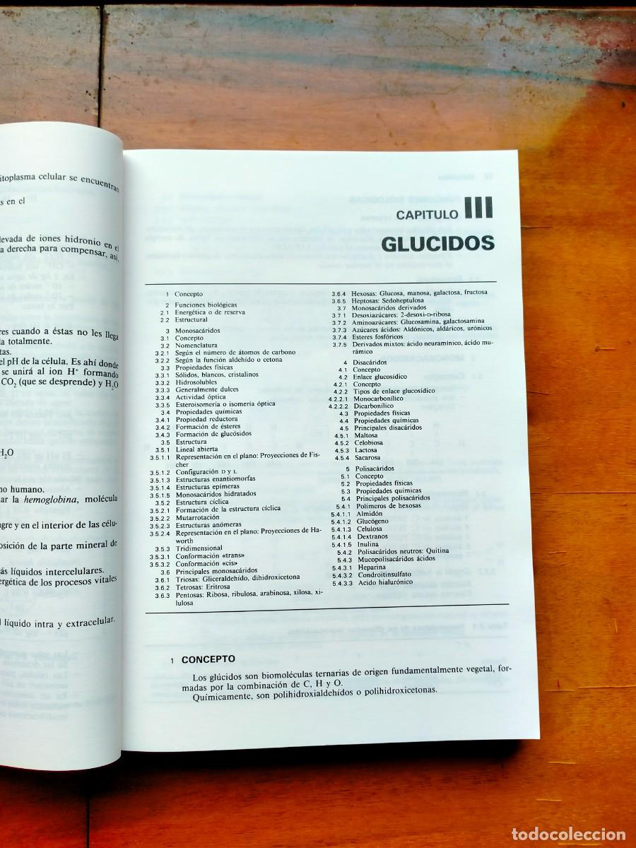 Libros de segunda mano: Introducci&oacute;n a la biolog&iacute;a. Merce de B&aacute;rbara. Omega - Foto 6