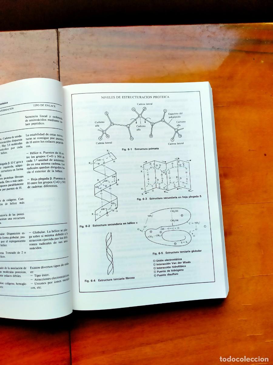 Libros de segunda mano: Introducci&oacute;n a la biolog&iacute;a. Merce de B&aacute;rbara. Omega - Foto 7