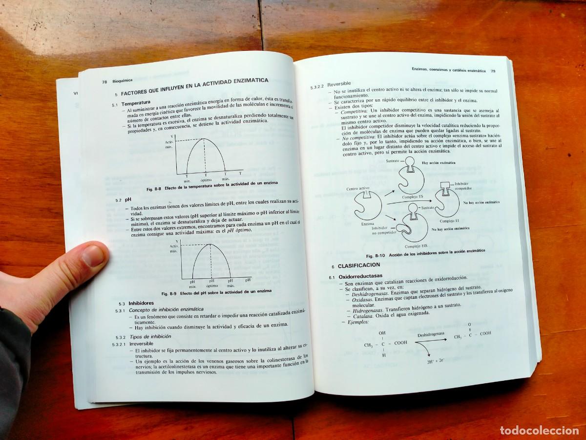 Libros de segunda mano: Introducci&oacute;n a la biolog&iacute;a. Merce de B&aacute;rbara. Omega - Foto 8