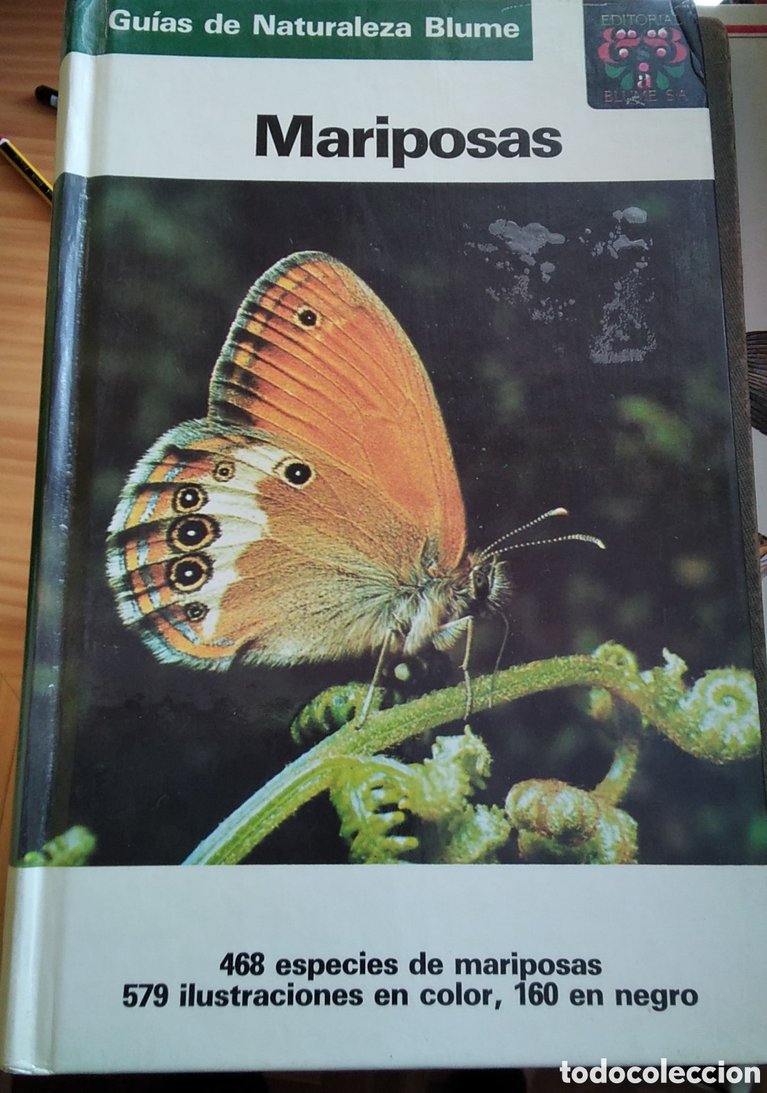 Libros de segunda mano: Mariposas guia libro de Reichholf edita Blume - Foto 1