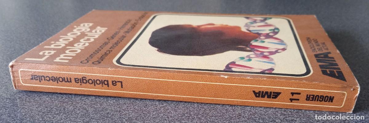Libros de segunda mano: La Biolog&iacute;a Molecular - Foto 2