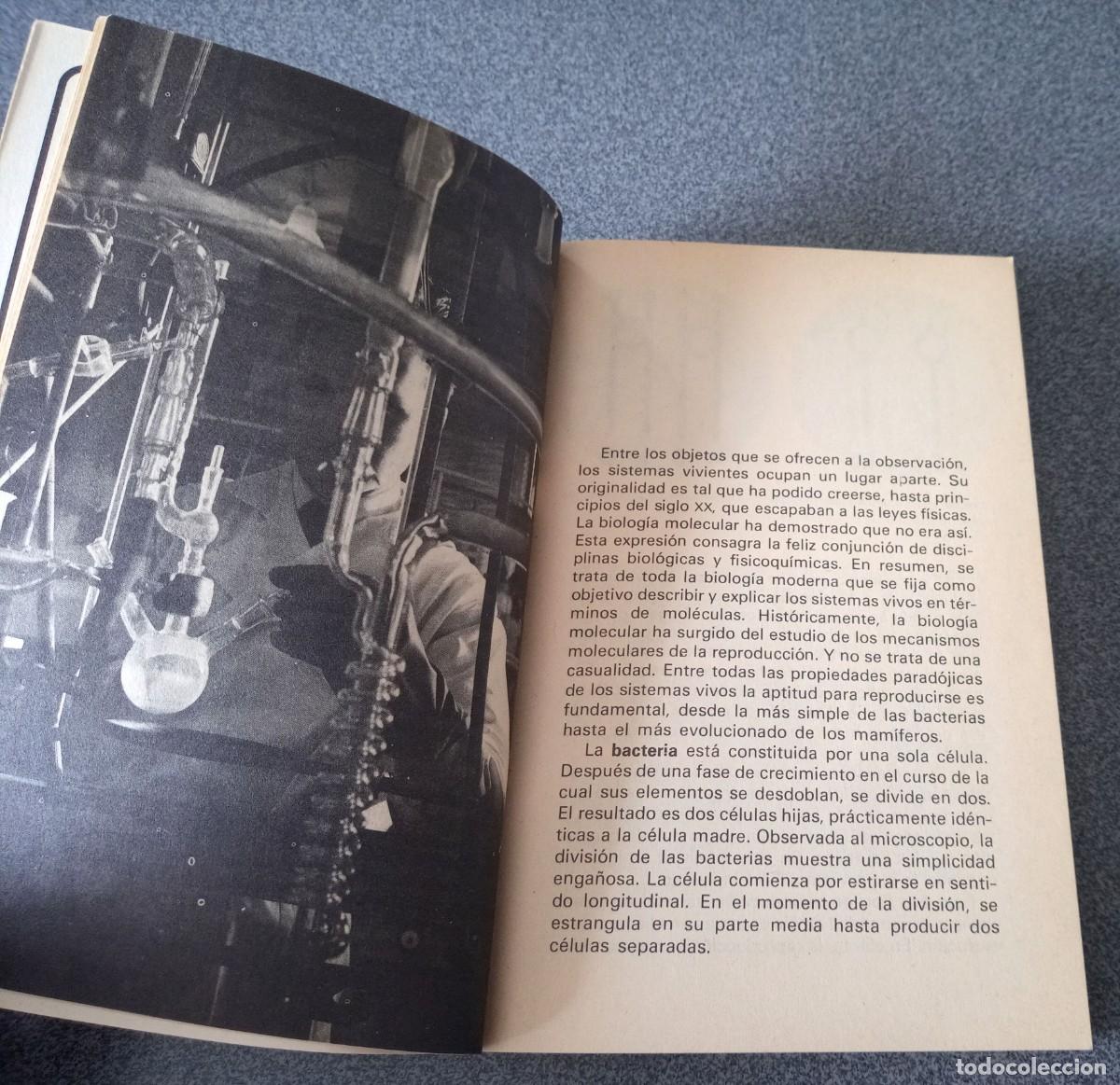 Libros de segunda mano: La Biolog&iacute;a Molecular - Foto 5