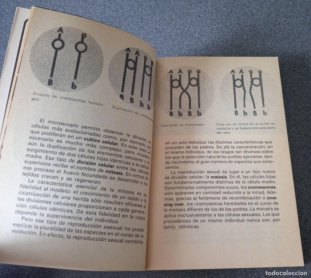 Libros de segunda mano: La Biolog&iacute;a Molecular - Foto 6