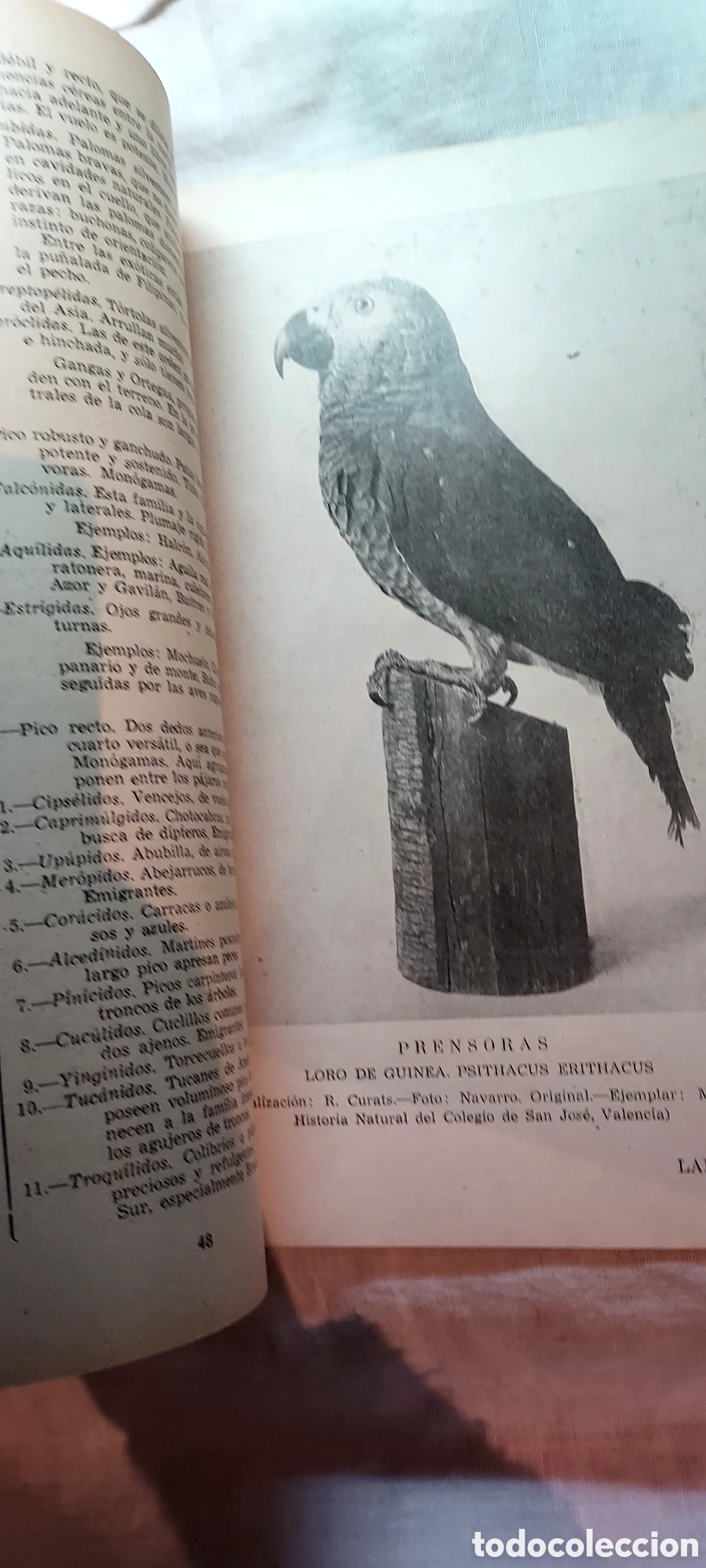 Libros de segunda mano: ZOOLOGIA .IGNACIO SALA DE CASTELLARNAU.VALENCIA 1948 - Foto 4