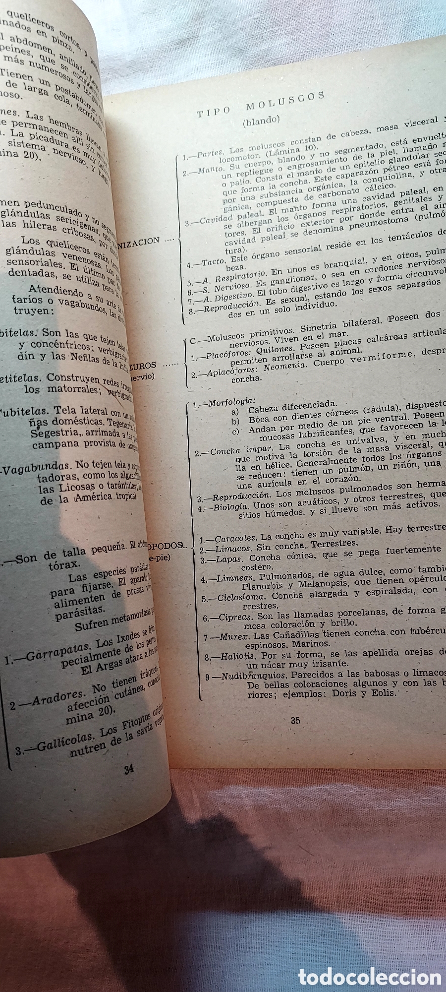 Libros de segunda mano: ZOOLOGIA .IGNACIO SALA DE CASTELLARNAU.VALENCIA 1948 - Foto 5
