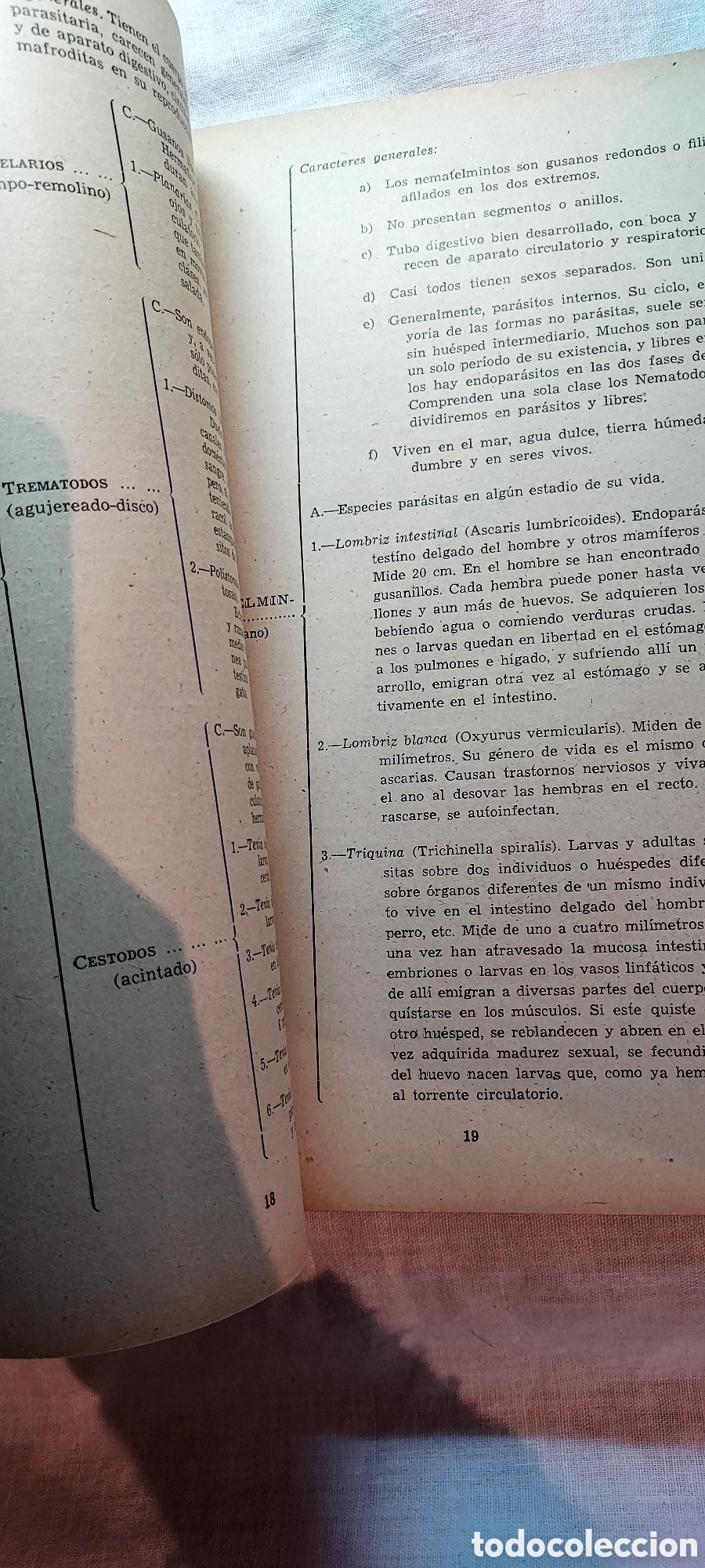 Libros de segunda mano: ZOOLOGIA .IGNACIO SALA DE CASTELLARNAU.VALENCIA 1948 - Foto 6