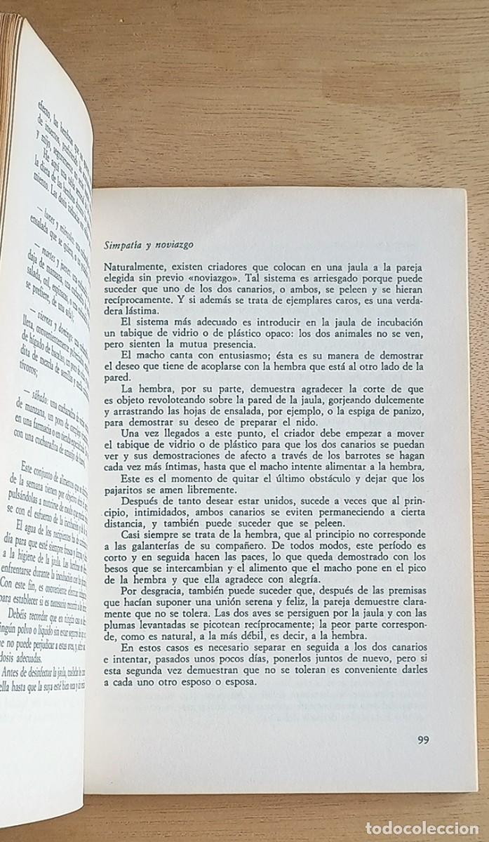 Libros de segunda mano: Cr&iacute;a Moderna de Los Canarios / Manual Pr&aacute;ctico / De Vecchi 1975 Marina Roberti - Foto 3