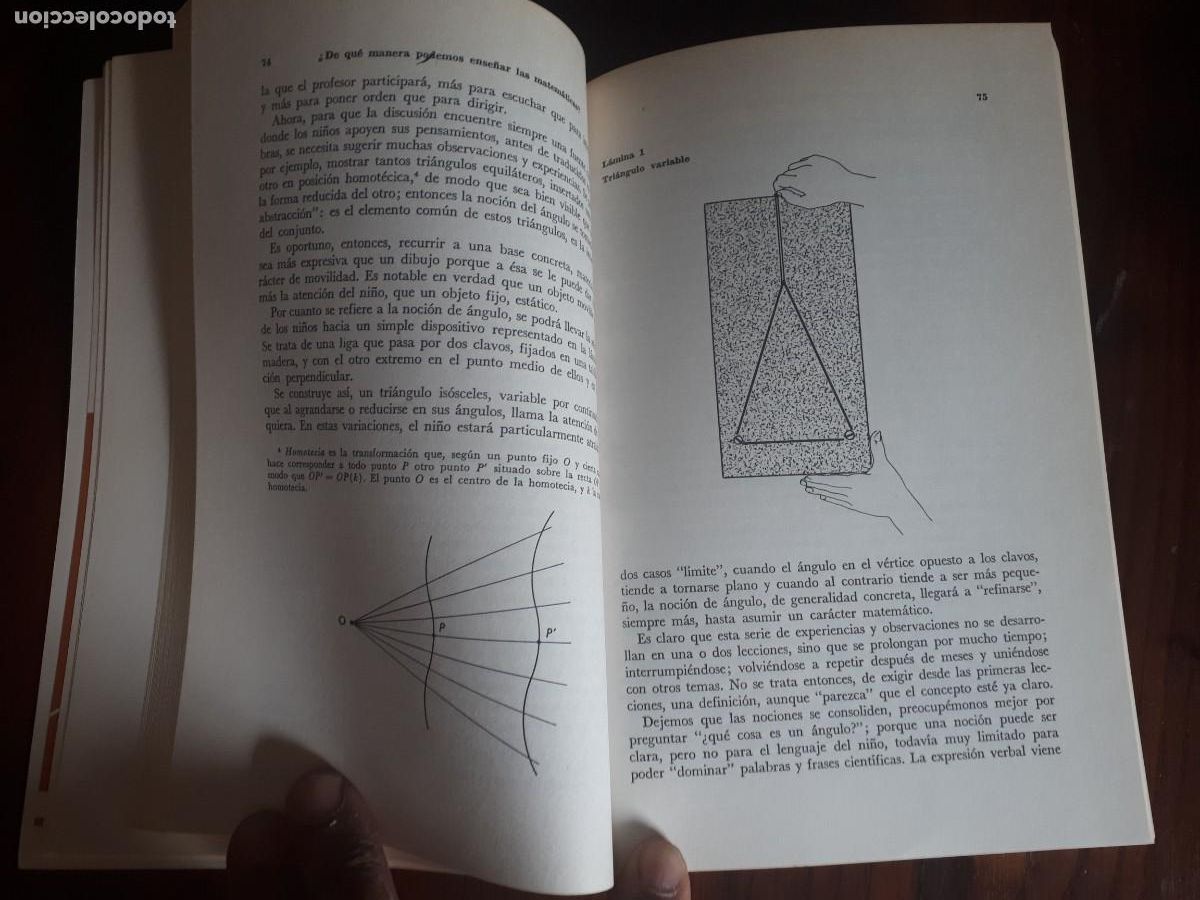 Libros de segunda mano de ciencias: Didactica de la matematica moderna.-EMMA CASTELNUOVO. - Foto 5