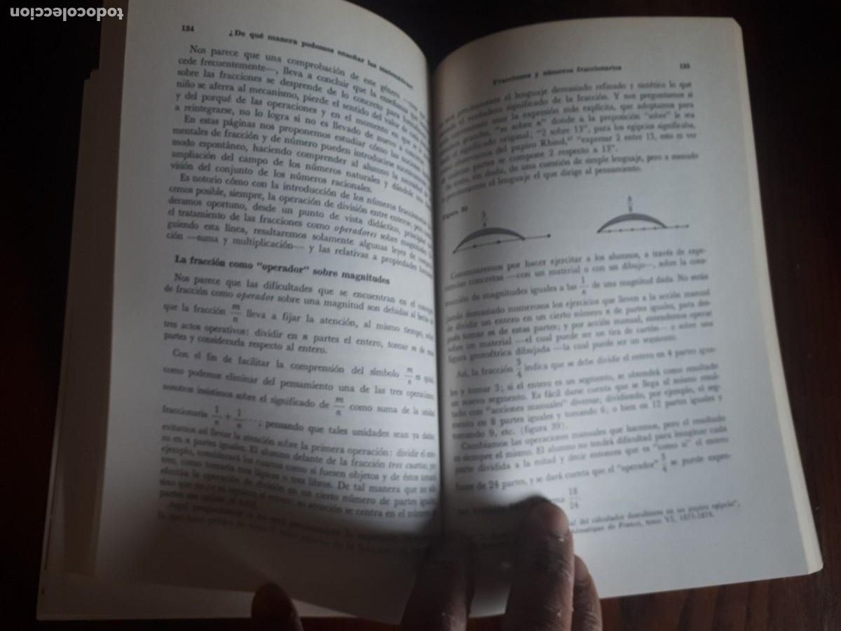 Libros de segunda mano de ciencias: Didactica de la matematica moderna.-EMMA CASTELNUOVO. - Foto 6