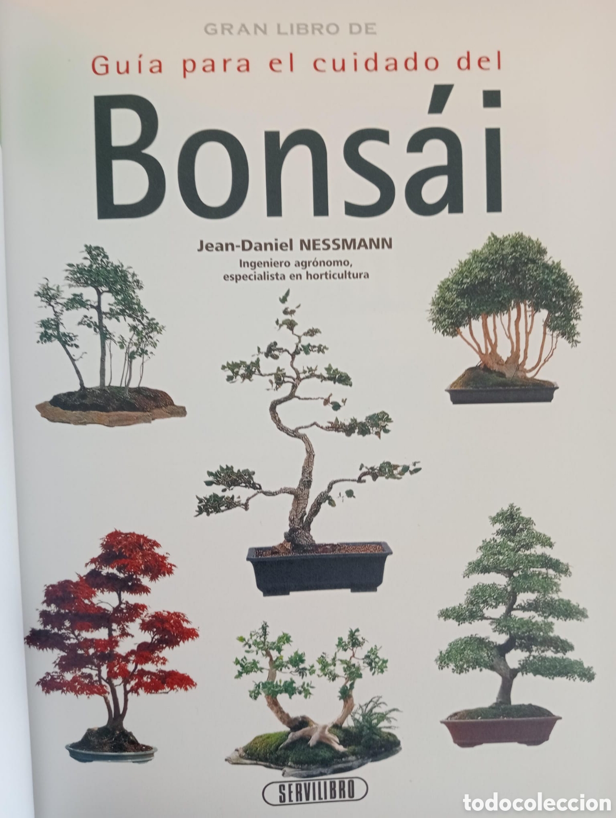 Libros de segunda mano: GRAN LIBRO DE GU&Iacute;A PARA EL CUIDADO DEL BONSAI - JEAN-DANIEL NESSMANN - Foto 2