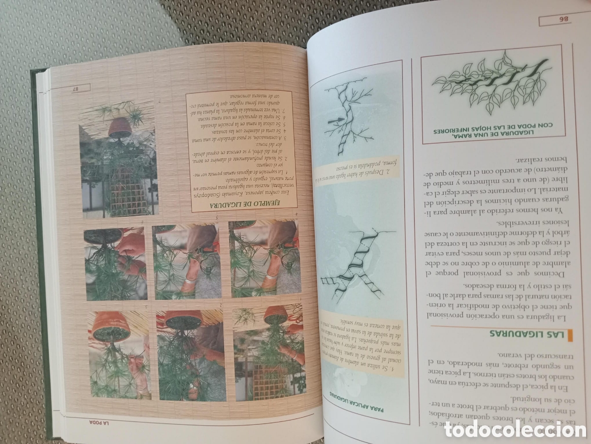 Libros de segunda mano: GRAN LIBRO DE GU&Iacute;A PARA EL CUIDADO DEL BONSAI - JEAN-DANIEL NESSMANN - Foto 3