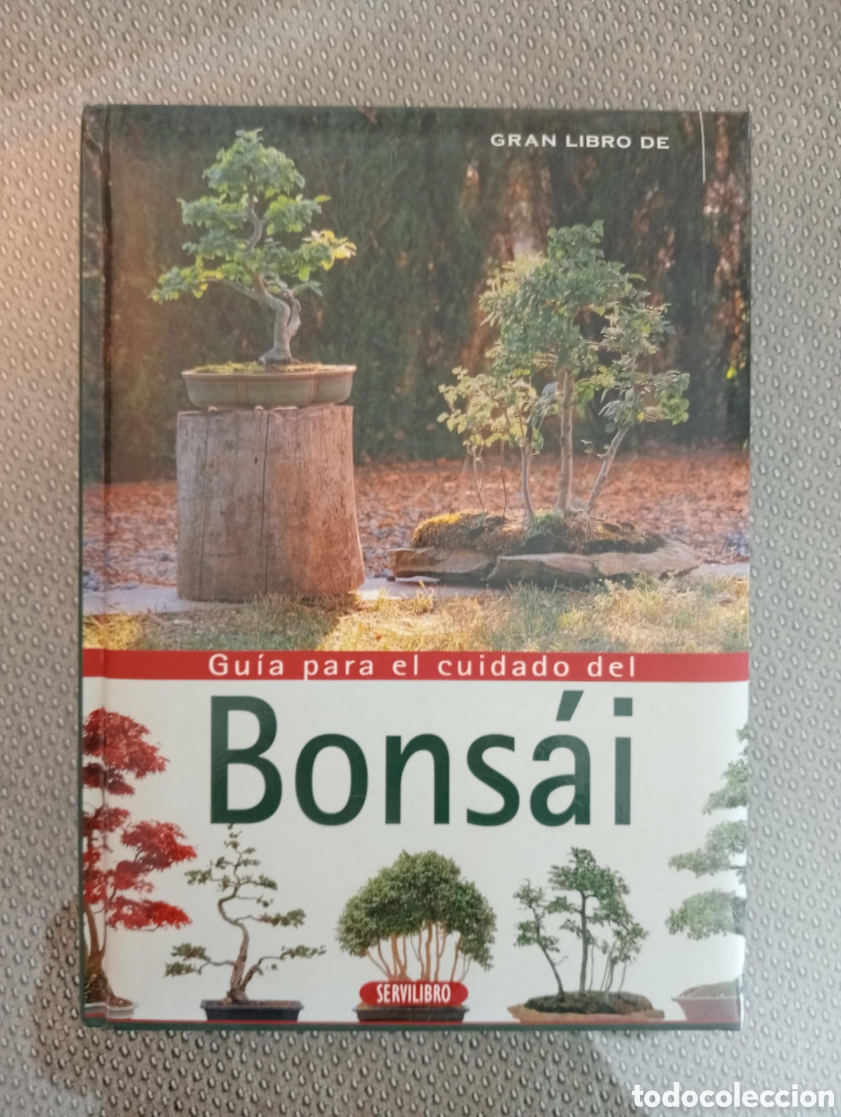 Libros de segunda mano: GRAN LIBRO DE GU&Iacute;A PARA EL CUIDADO DEL BONSAI - JEAN-DANIEL NESSMANN - Foto 1