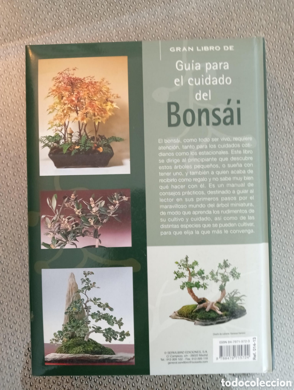 Libros de segunda mano: GRAN LIBRO DE GU&Iacute;A PARA EL CUIDADO DEL BONSAI - JEAN-DANIEL NESSMANN - Foto 4