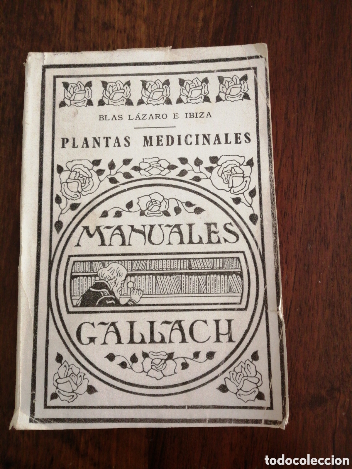 Libros de segunda mano: Plantas Medicinales MANUALES GALLACH - Foto 1
