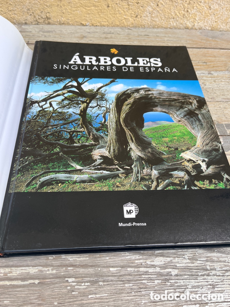 Libros de segunda mano: IP &Aacute;RBOLES SINGULARES DE ESPA&Ntilde;A. - Foto 2