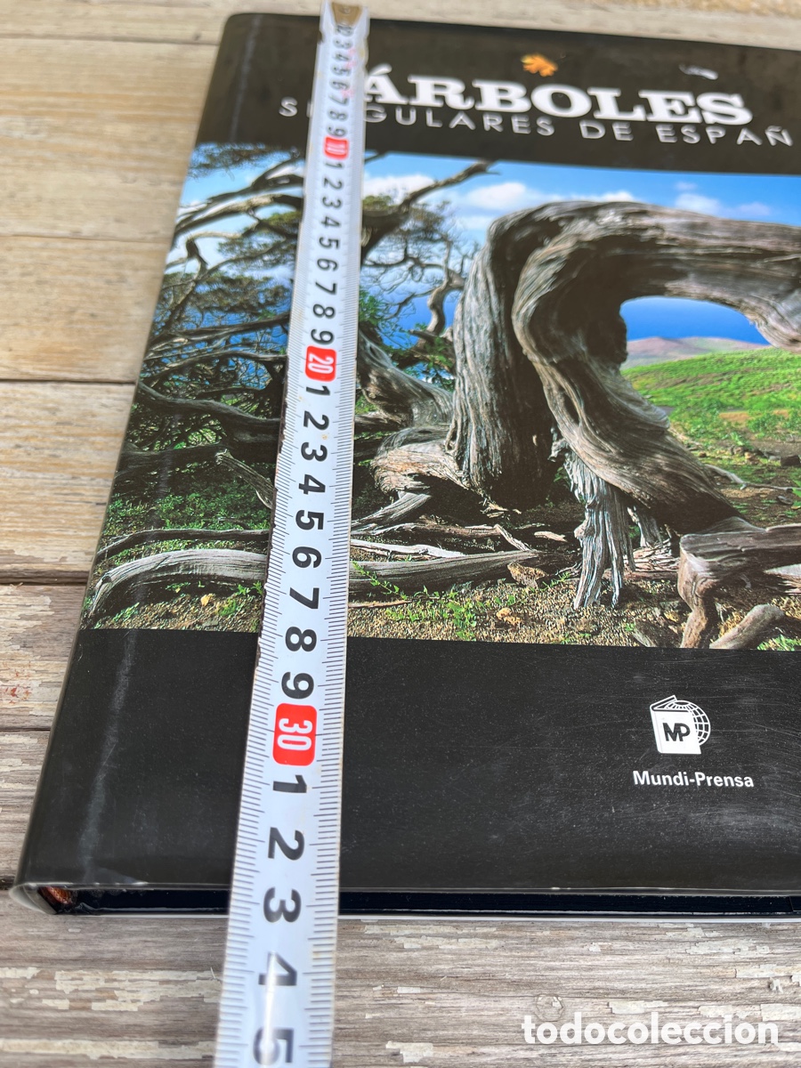 Libros de segunda mano: IP &Aacute;RBOLES SINGULARES DE ESPA&Ntilde;A. - Foto 11