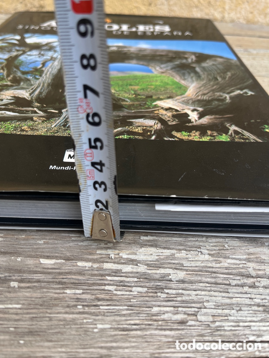 Libros de segunda mano: IP &Aacute;RBOLES SINGULARES DE ESPA&Ntilde;A. - Foto 12