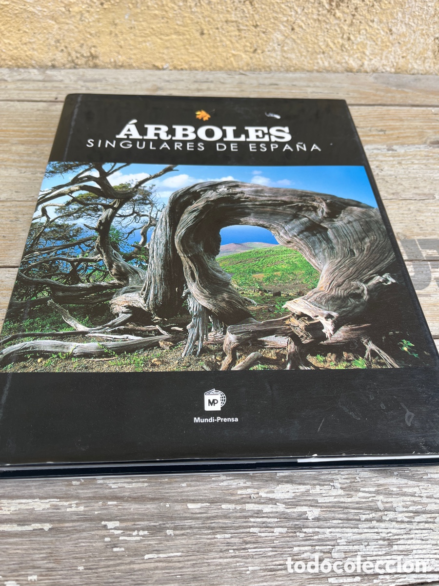 Libros de segunda mano: IP &Aacute;RBOLES SINGULARES DE ESPA&Ntilde;A. - Foto 1