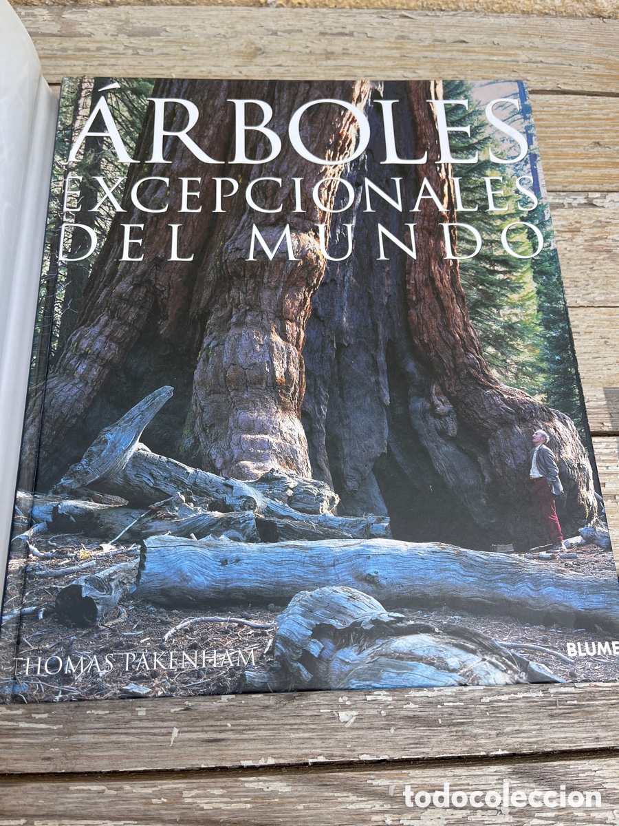 Libros de segunda mano: IP &Aacute;RBOLES EXCEPCIONALES DEL MUNDO. - Foto 2