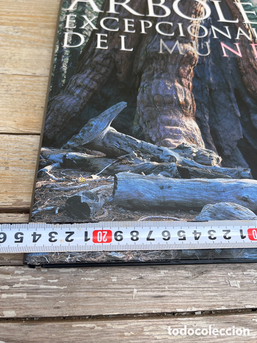 Libros de segunda mano: IP &Aacute;RBOLES EXCEPCIONALES DEL MUNDO. - Foto 8