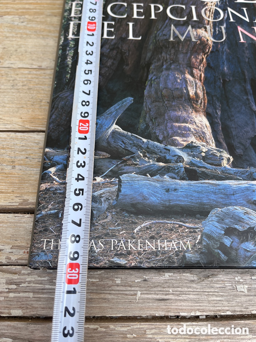 Libros de segunda mano: IP &Aacute;RBOLES EXCEPCIONALES DEL MUNDO. - Foto 9