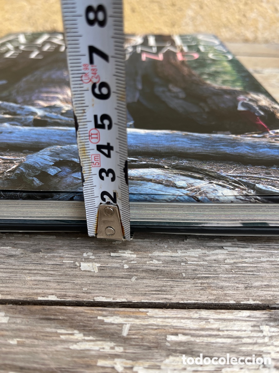 Libros de segunda mano: IP &Aacute;RBOLES EXCEPCIONALES DEL MUNDO. - Foto 10