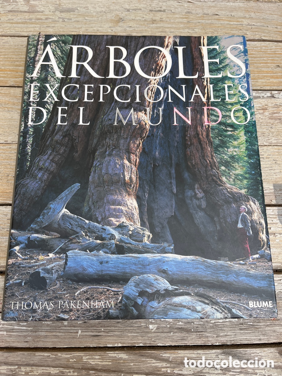 Libros de segunda mano: IP &Aacute;RBOLES EXCEPCIONALES DEL MUNDO. - Foto 1