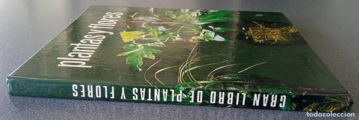 Libros de segunda mano: Gran Libro De Plantas Y Flores - Foto 2