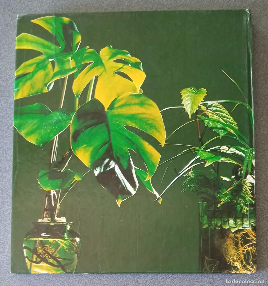 Libros de segunda mano: Gran Libro De Plantas Y Flores - Foto 8