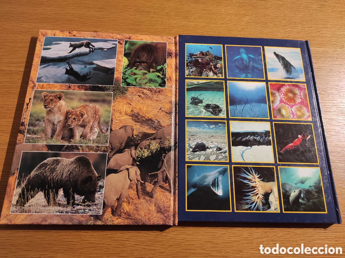 Libros de segunda mano: Dos tomos de National Geographic Society - Foto 2