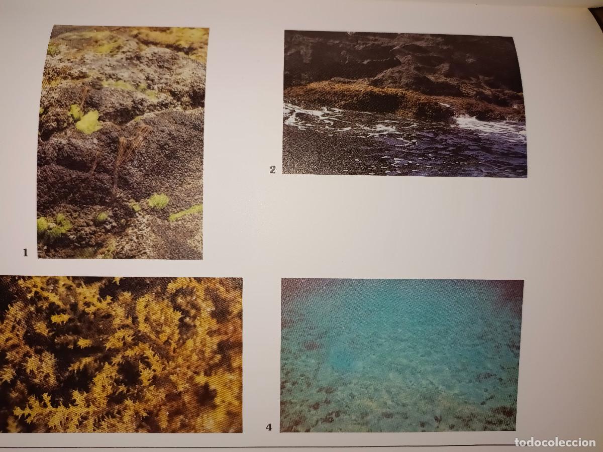 Libros de segunda mano: ISLAS COLUMBRETES CONTRIBUCI&Oacute;N AL ESTUDIO DE SU MEDIO - Foto 4