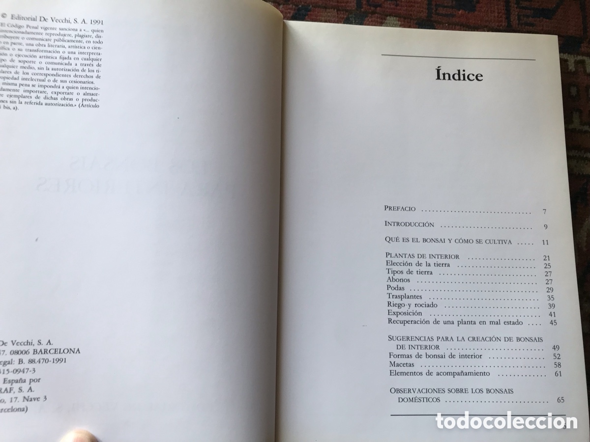 Libros de segunda mano: Los bons&aacute;is para interiores. Giovanni Genotti. Editorial De Vecchi - Foto 6