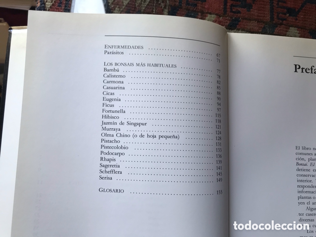 Libros de segunda mano: Los bons&aacute;is para interiores. Giovanni Genotti. Editorial De Vecchi - Foto 7