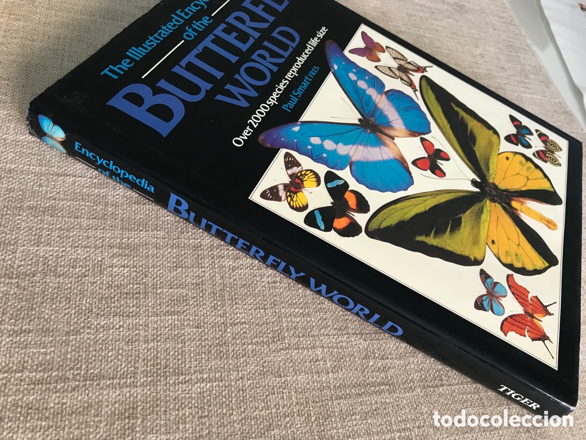 Libros de segunda mano: Mariposas del Mundo. Gu&iacute;a de Mariposas. - Foto 3