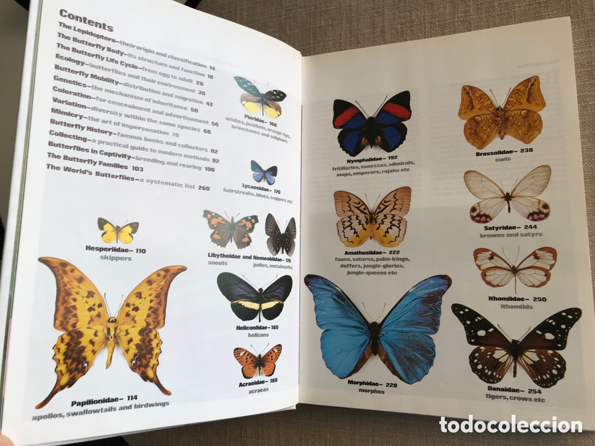 Libros de segunda mano: Mariposas del Mundo. Gu&iacute;a de Mariposas. - Foto 5