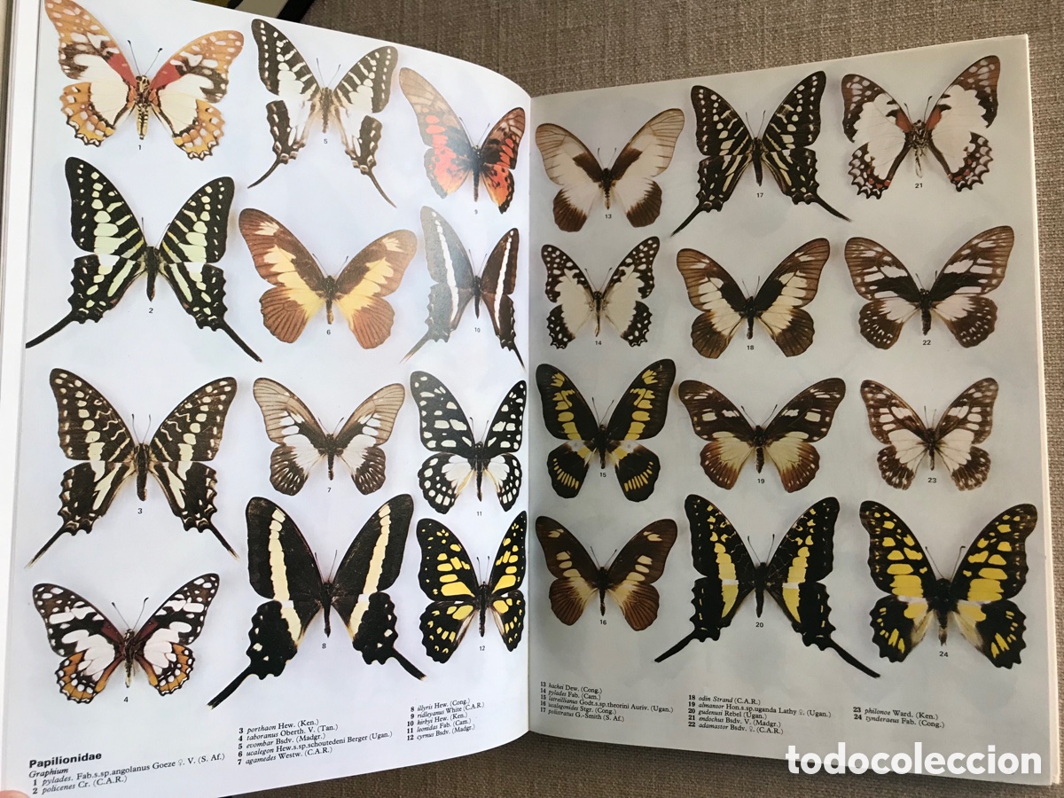 Libros de segunda mano: Mariposas del Mundo. Gu&iacute;a de Mariposas. - Foto 7