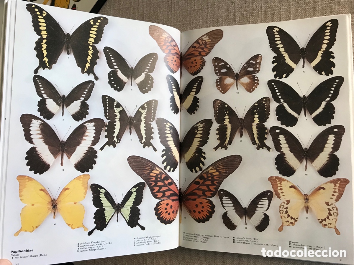 Libros de segunda mano: Mariposas del Mundo. Gu&iacute;a de Mariposas. - Foto 11