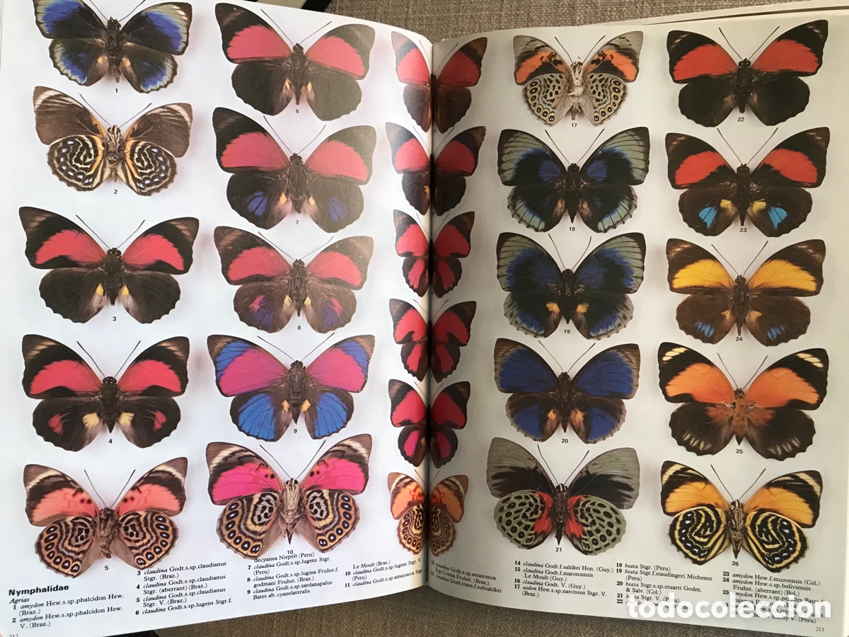Libros de segunda mano: Mariposas del Mundo. Gu&iacute;a de Mariposas. - Foto 16