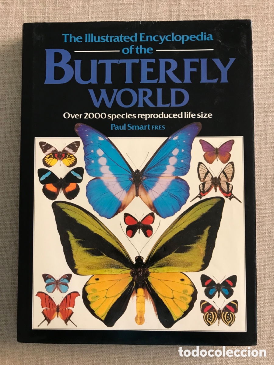 Libros de segunda mano: Mariposas del Mundo. Gu&iacute;a de Mariposas. - Foto 1