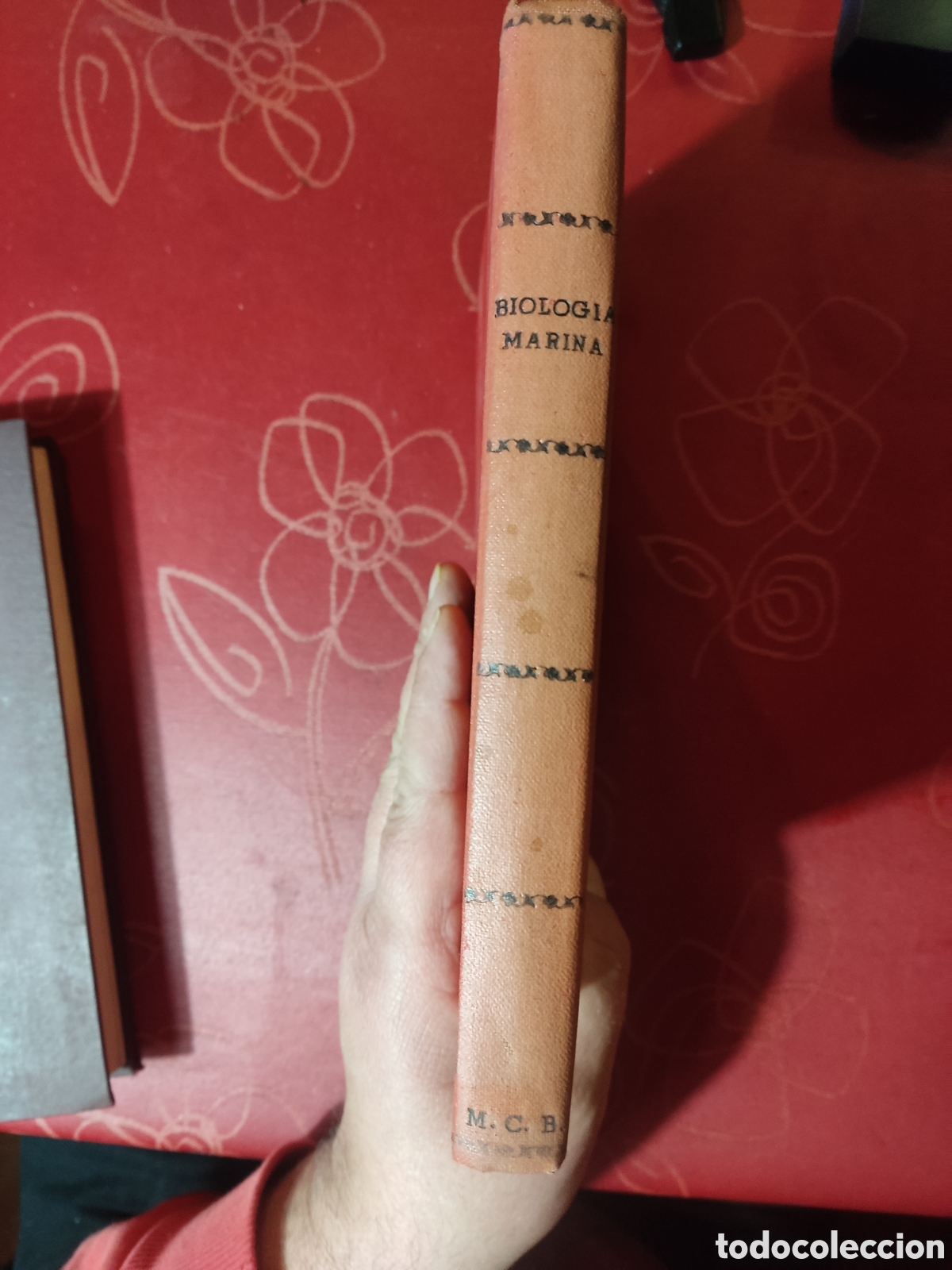 Libros de segunda mano: Biolog&iacute;a Marina y aprovechamiento de los animales del mar - Foto 2