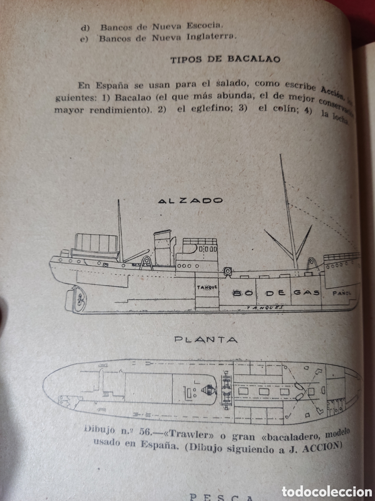 Libros de segunda mano: Biolog&iacute;a Marina y aprovechamiento de los animales del mar - Foto 6