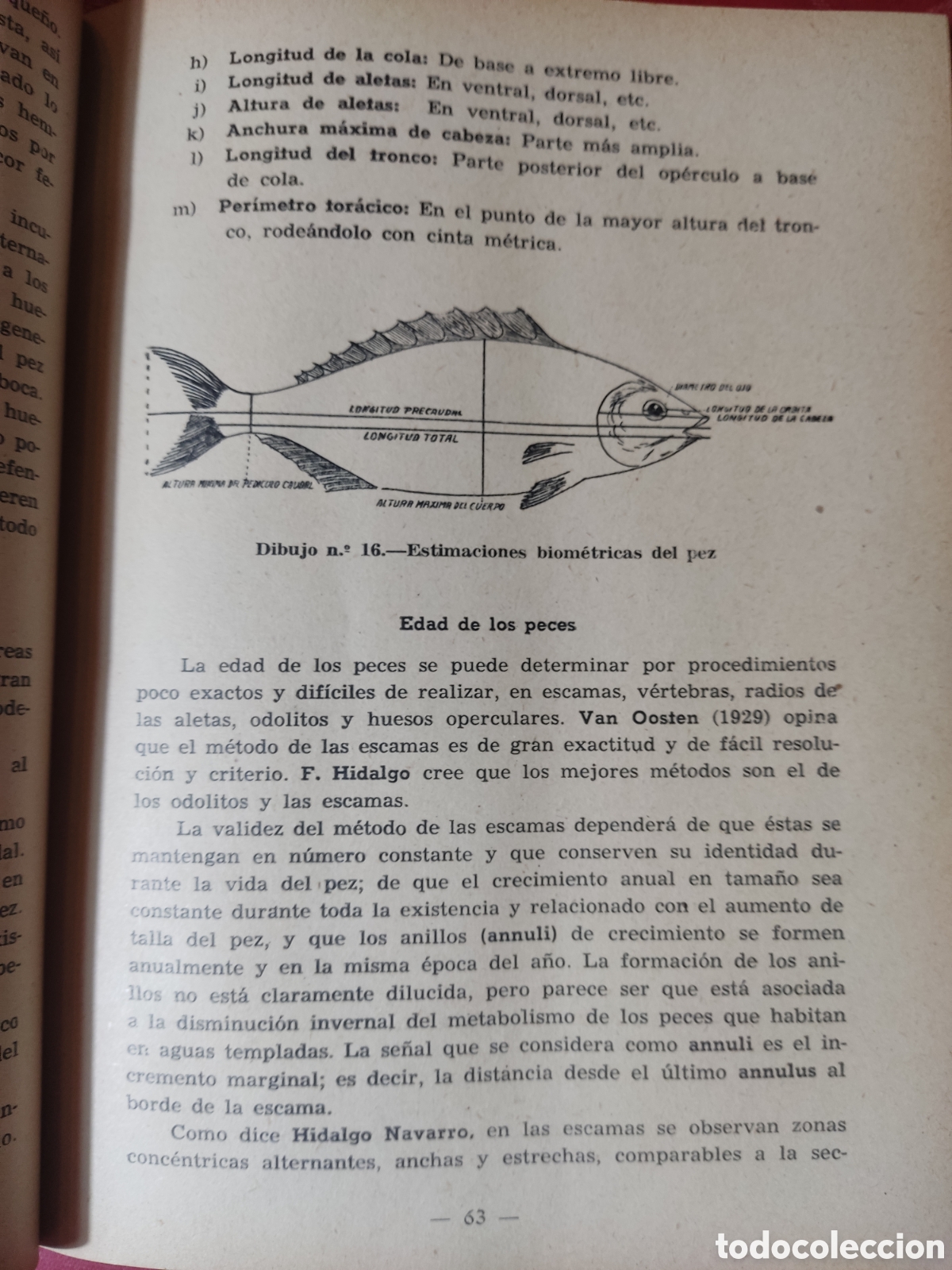 Libros de segunda mano: Biolog&iacute;a Marina y aprovechamiento de los animales del mar - Foto 8
